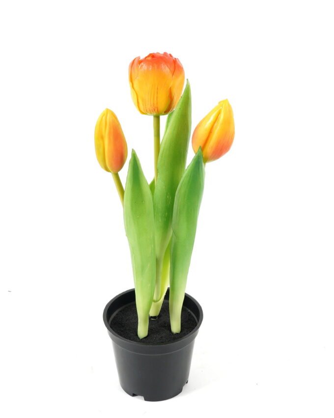 Artificial Table Plants Tulip 3 in PP pot GS-24523024_3 Artificial Table Plants 9*9*24cm Tulip *3 in PP pot GS-24523024 Potted Flowers&Plants YeahFlower is one of Chinese leading OEM manufacturers and exporters , supplying the silk flowers, wholesale artificial trees