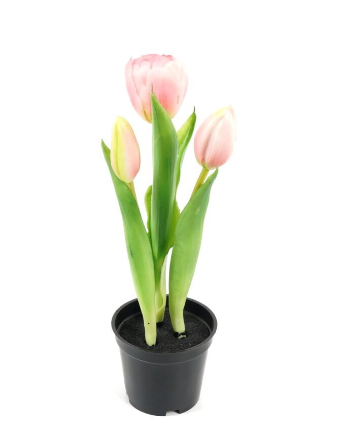 Artificial Table Plants Tulip 3 in PP pot GS-24523024_4 Artificial Table Plants 9*9*24cm Tulip *3 in PP pot GS-24523024 Potted Flowers&Plants YeahFlower is one of Chinese leading OEM manufacturers and exporters , supplying the silk flowers, wholesale artificial trees