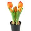 Artificial Table Plants 11*11*22cm Tulip *5  in PP  pot GS-24523025-O1 Potted Flowers&Plants YeahFlower is one of Chinese leading OEM manufacturers and exporters , supplying the silk flowers, wholesale artificial trees