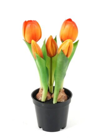 Artificial Table Plants 13*13*24cm Tulip *5  in PP  pot GS-24523026 Potted Flowers&Plants 3,000+ sqm showroom with thousands of artificial flowers, plants & trees ready for global sourcing.