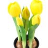Artificial Table Plants Tulip 5 in PP pot GS-24523025_2 Artificial Table Plants 11*11*22cm Tulip *5 in PP pot GS-24523025 Potted Flowers&Plants YeahFlower is one of Chinese leading OEM manufacturers and exporters , supplying the silk flowers, wholesale artificial trees