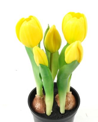 Artificial Table Plants 11*11*22cm Tulip *5  in PP  pot GS-24523025 Potted Flowers&Plants YeahFlower is one of Chinese leading OEM manufacturers and exporters , supplying the silk flowers, wholesale artificial trees