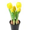 Artificial Table Plants Tulip 5 in PP pot GS-24523025_3 Artificial Table Plants 11*11*22cm Tulip *5 in PP pot GS-24523025 Potted Flowers&Plants YeahFlower is one of Chinese leading OEM manufacturers and exporters , supplying the silk flowers, wholesale artificial trees