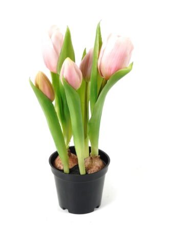 Artificial Table Plants 13*13*24cm Tulip *5  in PP  pot GS-24523026 Potted Flowers&Plants 3,000+ sqm showroom with thousands of artificial flowers, plants & trees ready for global sourcing.