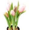 Artificial Table Plants Tulip 5 in PP pot GS-24523026-P1_1 Artificial Table Plants 13*13*24cm Tulip *5 in PP pot GS-24523026-P1 Potted Flowers&Plants YeahFlower is one of Chinese leading OEM manufacturers and exporters , supplying the silk flowers, wholesale artificial trees