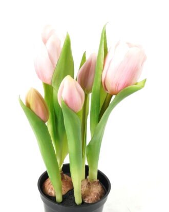 Artificial Table Plants 13*13*24cm Tulip *5  in PP  pot GS-24523026-P1 Potted Flowers&Plants YeahFlower is one of Chinese leading OEM manufacturers and exporters , supplying the silk flowers, wholesale artificial trees