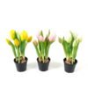 Artificial Table Plants 13*13*24cm Tulip *5  in PP  pot GS-24523026 Potted Flowers&Plants YeahFlower is one of Chinese leading OEM manufacturers and exporters , supplying the silk flowers, wholesale artificial trees