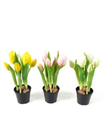 Artificial Table Plants 13*13*24cm Tulip *5  in PP  pot GS-24523026-P1 Potted Flowers&Plants 3,000+ sqm showroom with thousands of artificial flowers, plants & trees ready for global sourcing.
