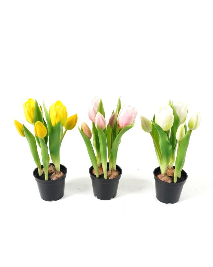 Artificial Table Plants 13*13*24cm Tulip *5  in PP  pot GS-24523026 Potted Flowers&Plants YeahFlower is one of Chinese leading OEM manufacturers and exporters , supplying the silk flowers, wholesale artificial trees