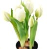 Artificial Table Plants 13*13*24cm Tulip *5  in PP  pot GS-24523026 Potted Flowers&Plants YeahFlower is one of Chinese leading OEM manufacturers and exporters , supplying the silk flowers, wholesale artificial trees