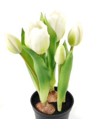 Artificial Table Plants 13*13*24cm Tulip *5  in PP  pot GS-24523026 Potted Flowers&Plants YeahFlower is one of Chinese leading OEM manufacturers and exporters , supplying the silk flowers, wholesale artificial trees