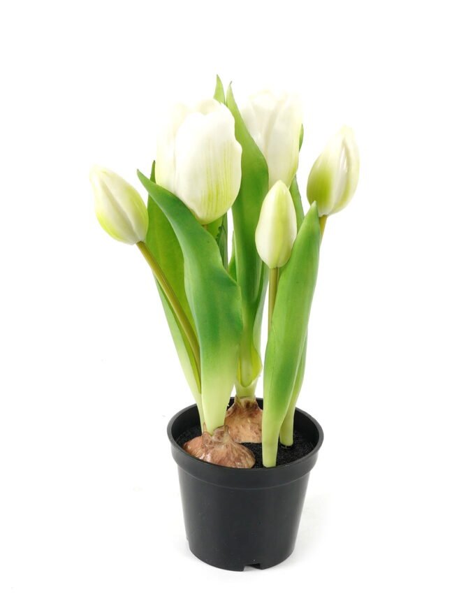 Artificial Table Plants 13*13*24cm Tulip *5  in PP  pot GS-24523026 Potted Flowers&Plants YeahFlower is one of Chinese leading OEM manufacturers and exporters , supplying the silk flowers, wholesale artificial trees