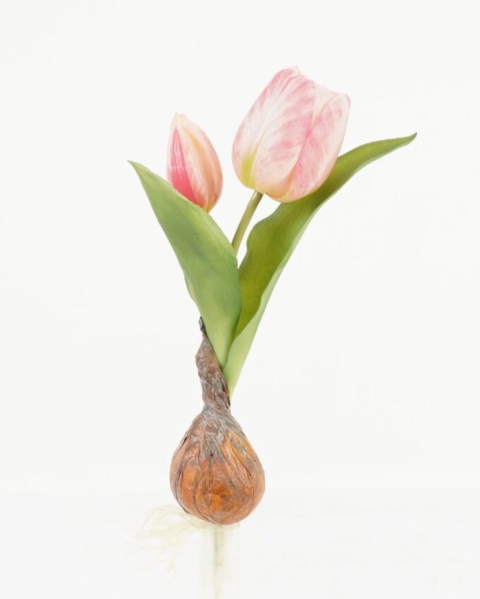 Artificial Table Plants 13*13*25cm Tulip+Onion *2 single stem GS-41523027-O1 Potted Flowers&Plants YeahFlower is one of Chinese leading OEM manufacturers and exporters , supplying the silk flowers, wholesale artificial trees