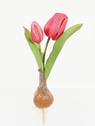 Artificial Table Plants 13*13*25cm Tulip+Onion *2 single stem GS-41523027-Y1 Potted Flowers&Plants 3,000+ sqm showroom with thousands of artificial flowers, plants & trees ready for global sourcing.