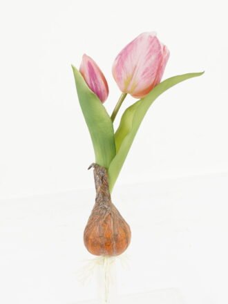 Artificial Table Plants 13*13*25cm Tulip+Onion *2 single stem GS-41523027-Y1 Potted Flowers&Plants 3,000+ sqm showroom with thousands of artificial flowers, plants & trees ready for global sourcing.