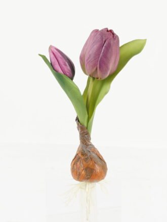 Artificial Plant 35*35*121cm Leaf single stem GS-68923001 Potted Flowers&Plants 3,000+ sqm showroom with thousands of artificial flowers, plants & trees ready for global sourcing.