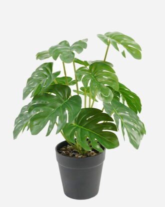 Artificial Table Plants 18*18*30cm Turtleback /Ivs15 GS-70123004 Potted Flowers&Plants YeahFlower is one of Chinese leading OEM manufacturers and exporters , supplying the silk flowers, wholesale artificial trees