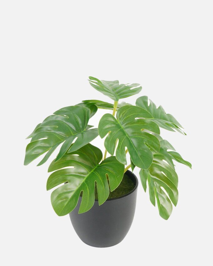 Artificial Table Plants 18*18*15cm Turtleback /Ivs9 GS-70123025 Potted Flowers&Plants YeahFlower is one of Chinese leading OEM manufacturers and exporters , supplying the silk flowers, wholesale artificial trees