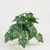 Artificial Table Plants 25*15*17cm dysosma leaf/Ivs22 GS-70123020 Potted Flowers&Plants YeahFlower is one of Chinese leading OEM manufacturers and exporters , supplying the silk flowers, wholesale artificial trees
