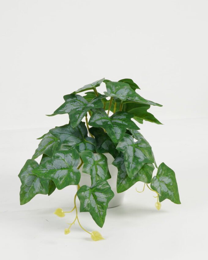 Artificial Table Plants 25*15*17cm dysosma leaf/Ivs22 GS-70123020 Potted Flowers&Plants YeahFlower is one of Chinese leading OEM manufacturers and exporters , supplying the silk flowers, wholesale artificial trees