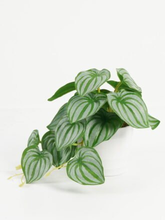 Artificial Table Plants 25*20*17cm Taro /Ivs22 GS-70123014 Potted Flowers&Plants 3,000+ sqm showroom with thousands of artificial flowers, plants & trees ready for global sourcing.