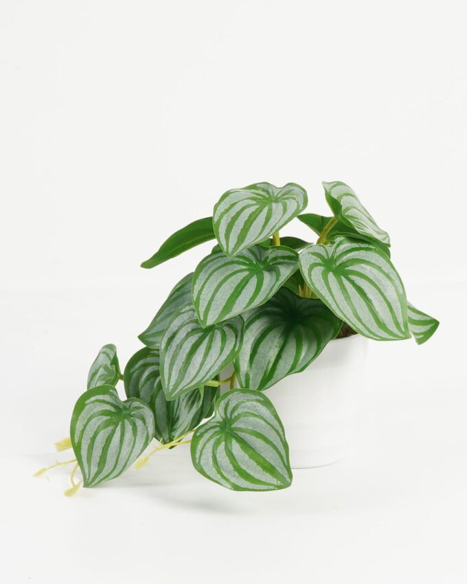 Artificial Table Plants 25*15*17cm puteolata /Ivs22 GS-70123018 Potted Flowers&Plants YeahFlower is one of Chinese leading OEM manufacturers and exporters , supplying the silk flowers, wholesale artificial trees