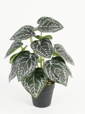 Artificial Table Plants 25*18*17cm Pilea peperomioides /Ivs22 GS-70123012 Potted Flowers&Plants 3,000+ sqm showroom with thousands of artificial flowers, plants & trees ready for global sourcing.