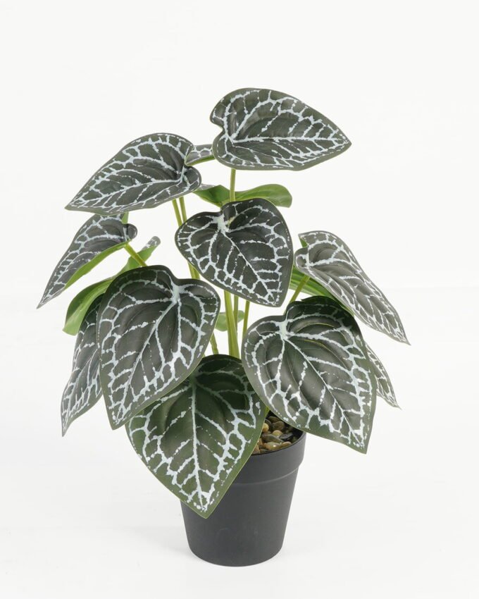 Artificial Table Plants 20*20*30cm vein /Ivs15 GS-70123009 Potted Flowers&Plants YeahFlower is one of Chinese leading OEM manufacturers and exporters , supplying the silk flowers, wholesale artificial trees