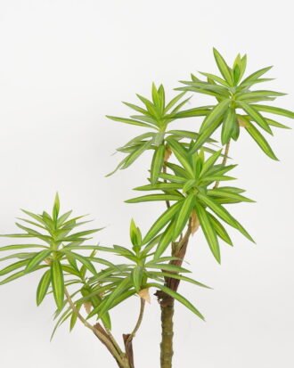 Artificial Tree 110cm Dracaena reflexa in PP pot GS-61923036 Tree&Plant YeahFlower is one of Chinese leading OEM manufacturers and exporters , supplying the silk flowers, wholesale artificial trees