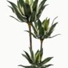 Artificial Tree 128cm Maguey *3 in PP pot real touch/54 lvs GS-41923001 Tree&Plant YeahFlower is one of Chinese leading OEM manufacturers and exporters , supplying the silk flowers, wholesale artificial trees