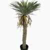 Artificial Tree 128cm Sisal hemp in PP pot real touch/105 lvs GS-41923003 Tree&Plant YeahFlower is one of Chinese leading OEM manufacturers and exporters , supplying the silk flowers, wholesale artificial trees