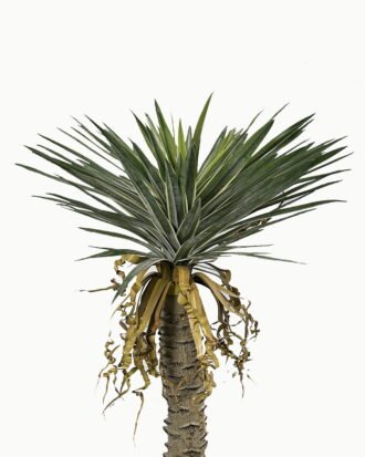 Artificial Tree 128cm Sisal hemp in PP pot real touch/105 lvs GS-41923003 Tree&Plant YeahFlower is one of Chinese leading OEM manufacturers and exporters , supplying the silk flowers, wholesale artificial trees