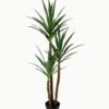 Artificial Tree 136cm Plant in PP pot 51 lvs GS-59523063_1 Artificial Tree 136cm Plant in PP pot/51 lvs GS-59523063 Tree&Plant YeahFlower is one of Chinese leading OEM manufacturers and exporters , supplying the silk flowers, wholesale artificial trees