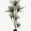 Artificial Tree 150cm Plant 9 in PP pot real touch 267 lvs GS-41923016_1 Artificial Tree 150cm Plant *9 in PP pot real touch/267 lvs GS-41923016 Tree&Plant YeahFlower is one of Chinese leading OEM manufacturers and exporters , supplying the silk flowers, wholesale artificial trees