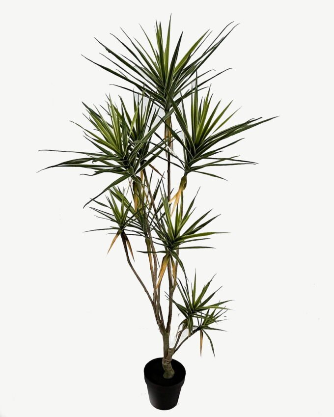 Artificial Tree 150cm Plant 9 in PP pot real touch 267 lvs GS-41923016_1 Artificial Tree 150cm Plant *9 in PP pot real touch/267 lvs GS-41923016 Tree&Plant YeahFlower is one of Chinese leading OEM manufacturers and exporters , supplying the silk flowers, wholesale artificial trees