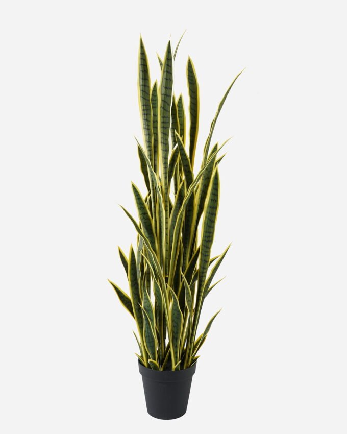 Artificial Tree 150cm Sansevieria *12 in PP pot GS-59523055 Tree&Plant YeahFlower is one of Chinese leading OEM manufacturers and exporters , supplying the silk flowers, wholesale artificial trees
