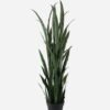 Artificial Tree 150cm Sansevieria *12 in PP pot GS-59523056 Tree&Plant YeahFlower is one of Chinese leading OEM manufacturers and exporters , supplying the silk flowers, wholesale artificial trees