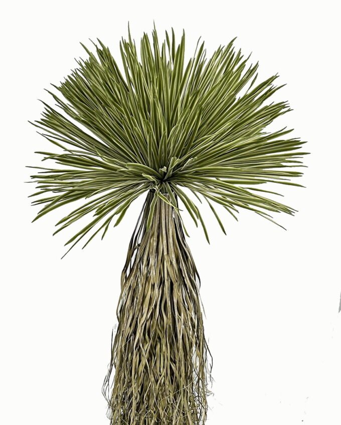 Artificial Tree 150cm Scarecrow 30 in PP pot real touch 540 lvs GS-41923018_1 Artificial Tree 150cm Scarecrow *30 in PP pot real touch/540 lvs GS-41923018 Tree&Plant YeahFlower is one of Chinese leading OEM manufacturers and exporters , supplying the silk flowers, wholesale artificial trees