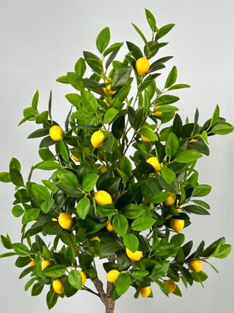 Artificial Tree 50cm Dracaena reflexa in PP pot GS-61923037 Tree&Plant 3,000+ sqm showroom with thousands of artificial flowers, plants & trees ready for global sourcing.