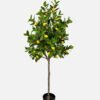 Artificial Tree 160cm Lemon Tree in PP pot GS-61923039KD Tree&Plant YeahFlower is one of Chinese leading OEM manufacturers and exporters , supplying the silk flowers, wholesale artificial trees