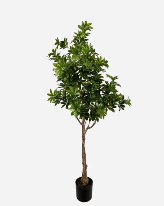 Artificial Tree 180cm Duck foot wood in PP pot GS-61923042 Tree&Plant YeahFlower is one of Chinese leading OEM manufacturers and exporters , supplying the silk flowers, wholesale artificial trees