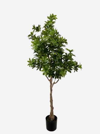 Artificial Tree 110cm Plant in PP pot GS-61923040 Tree&Plant 3,000+ sqm showroom with thousands of artificial flowers, plants & trees ready for global sourcing.