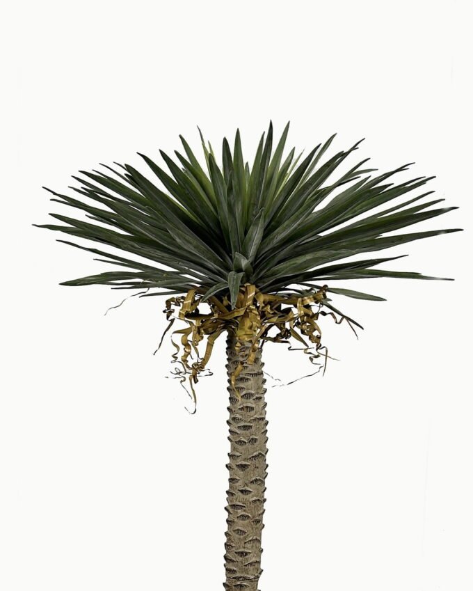 Artificial Tree 180cm Sisal hemp in PP pot single stem real touch 126 lvs GS-41923004_1 Artificial Tree 180cm Sisal hemp in PP pot single stem real touch/126 lvs GS-41923004 Tree&Plant YeahFlower is one of Chinese leading OEM manufacturers and exporters , supplying the silk flowers, wholesale artificial trees