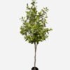 Artificial Tree 200cm Osmanthus fragrans in PP pot GS-61923035KD Tree&Plant YeahFlower is one of Chinese leading OEM manufacturers and exporters , supplying the silk flowers, wholesale artificial trees