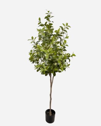 Artificial Tree 200cm Osmanthus fragrans in PP pot GS-61923035KD Tree&Plant YeahFlower is one of Chinese leading OEM manufacturers and exporters , supplying the silk flowers, wholesale artificial trees