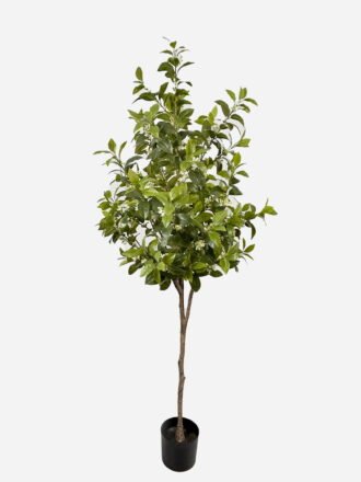 Artificial Tree 110cm Dracaena reflexa in PP pot GS-61923036 Tree&Plant 3,000+ sqm showroom with thousands of artificial flowers, plants & trees ready for global sourcing.