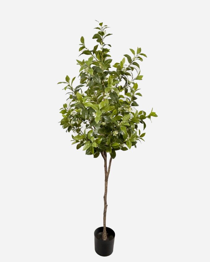 Artificial Tree 200cm Osmanthus fragrans in PP pot GS-61923035KD Tree&Plant YeahFlower is one of Chinese leading OEM manufacturers and exporters , supplying the silk flowers, wholesale artificial trees