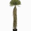 Artificial Tree 210cm Scarecrow 50 in PP pot real touch 900 lvs GS-41923019 Artificial Tree 210cm Scarecrow *50 in PP pot real touch/900 lvs GS-41923019 Tree&Plant YeahFlower is one of Chinese leading OEM manufacturers and exporters , supplying the silk flowers, wholesale artificial trees