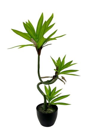 Artificial Tree 110cm Dracaena reflexa in PP pot GS-61923036 Tree&Plant 3,000+ sqm showroom with thousands of artificial flowers, plants & trees ready for global sourcing.
