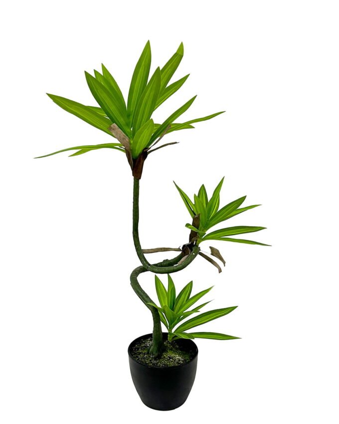 Artificial Tree 50cm Dracaena reflexa in PP pot GS-61923037 Tree&Plant YeahFlower is one of Chinese leading OEM manufacturers and exporters , supplying the silk flowers, wholesale artificial trees